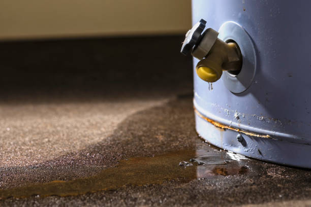 Best Flood restoration services  in Upper Grand Lagoon, FL
