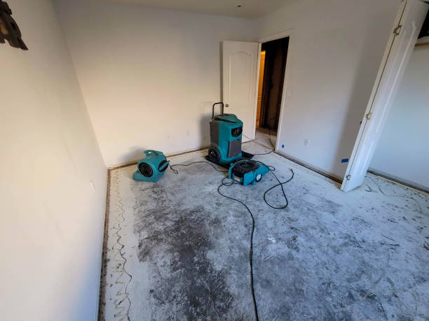 Best 24/7 water damage repair  in Upper Grand Lagoon, FL
