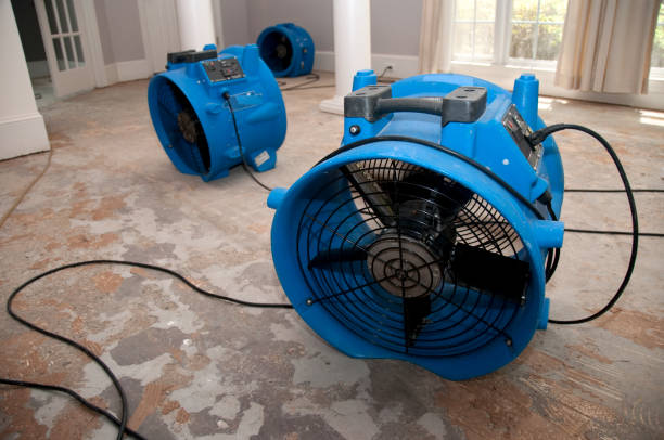 Best Water damage cleanup near me  in Upper Grand Lagoon, FL