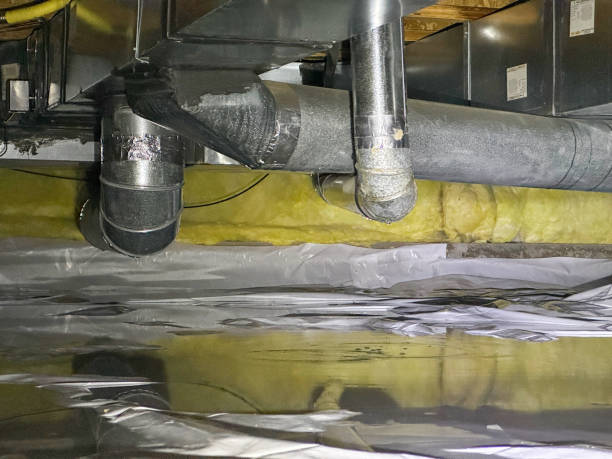 Best Basement water damage restoration  in Upper Grand Lagoon, FL